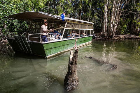 Hartley's Crocodile Adventures Day Trip From Cairns - Surfers Paradise Gold Coast 2