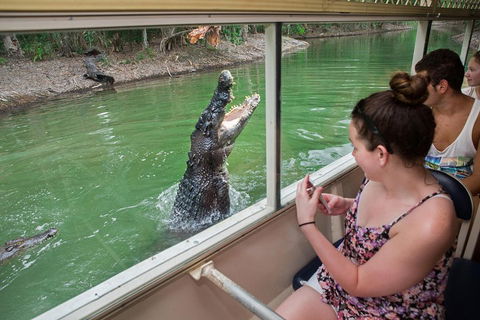 Hartley's Crocodile Adventures Day Trip From Cairns - Surfers Paradise Gold Coast 3