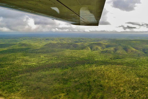 Litchfield Park & Daly River - Scenic Flight From Darwin - Surfers Paradise Gold Coast 2