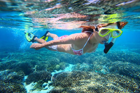 Abrolhos Islands Scenic Flight & Snorkel Adventure From Perth - Surfers Paradise Gold Coast 1