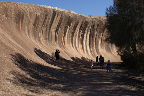 Wave Rock, Pinnacles And Rottnest One Day Aeroplane Tour - Surfers Paradise Gold Coast 4