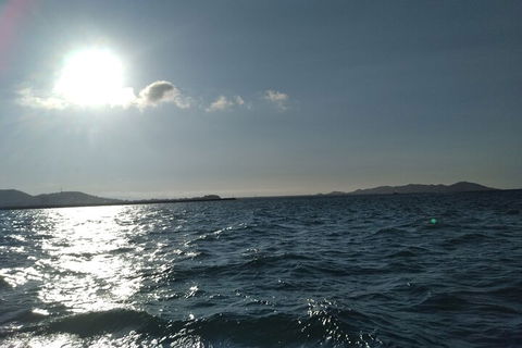 Townsville Small Group Early Morning Sailing Cruise Boat Tour Charter Hire - Surfers Paradise Gold Coast 4