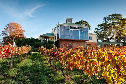 Adelaide Hills Food, Wine, Cheese, & Chocolate - Private Day Tour - Surfers Paradise Gold Coast 3
