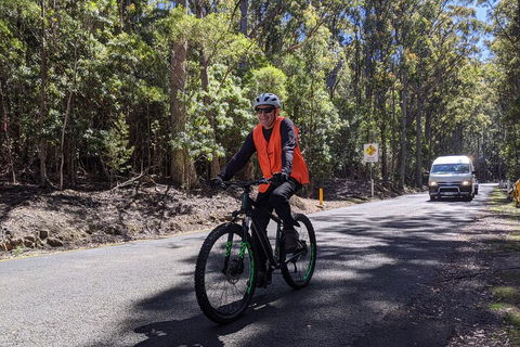 Mount Wellington Descent Cycling Tour Departs Hobart - Surfers Paradise Gold Coast 3