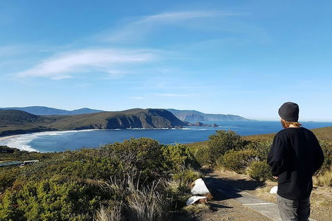 Small-Group Day Trip From Hobart To Bruny Island - Surfers Paradise Gold Coast 0