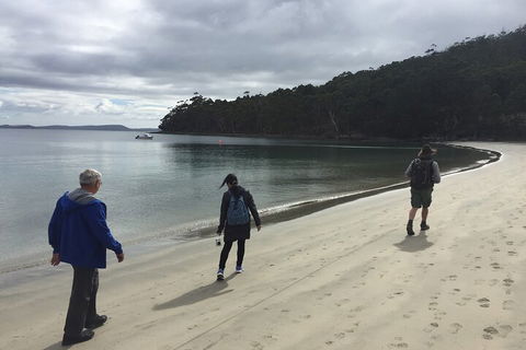 Small-Group Day Trip From Hobart To Bruny Island - Surfers Paradise Gold Coast 1