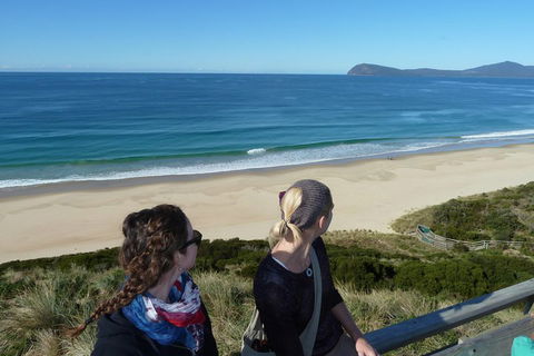 Small-Group Day Trip From Hobart To Bruny Island - Surfers Paradise Gold Coast 3