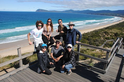 Small-Group Day Trip From Hobart To Bruny Island - Surfers Paradise Gold Coast 4