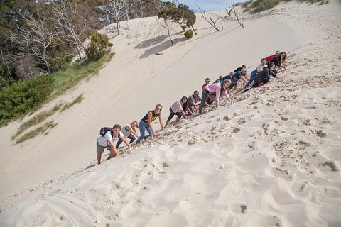 6-Day Tasmanian Explorer Adventure Tour From Hobart - Surfers Paradise Gold Coast 2