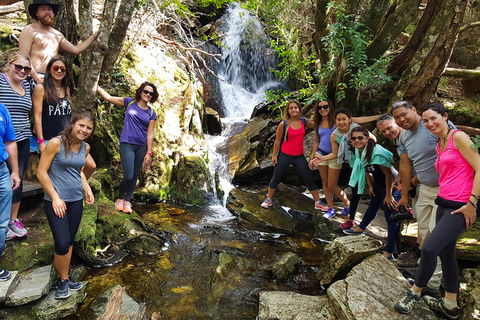 7-Day Super Value Tour Of Tasmania: Explore Tasmania's West And East Coasts - Surfers Paradise Gold Coast 2
