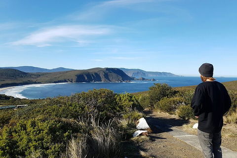 4-Day Fabulous Tasmania Tour: Wineglass Bay, Port Arthur, Devils & Bruny Island - Surfers Paradise Gold Coast 0