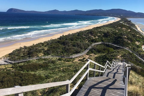 4-Day Fabulous Tasmania Tour: Wineglass Bay, Port Arthur, Devils & Bruny Island - Surfers Paradise Gold Coast 5
