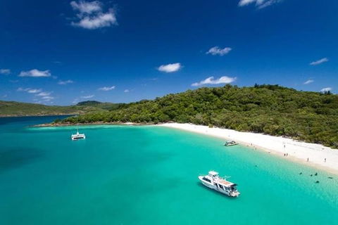 Whitehaven Beach And Hill Inlet | Awesome Beach BBQ | Family Friendly - Surfers Paradise Gold Coast 3