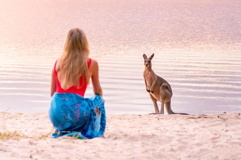 Serenity Cruise To Australia's Everglades - Surfers Paradise Gold Coast 3