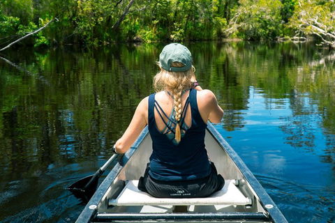 Cruise 'n' Canoe To Australia's Everglades - Surfers Paradise Gold Coast 0