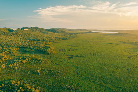 Cruise 'n' Canoe To Australia's Everglades - Surfers Paradise Gold Coast 1