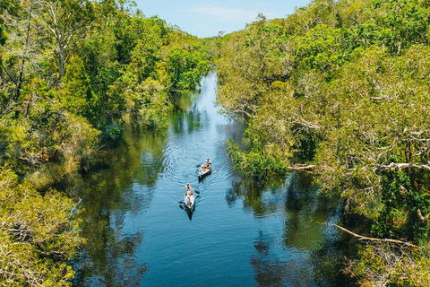 Cruise 'n' Canoe To Australia's Everglades - Surfers Paradise Gold Coast 3
