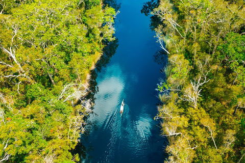 Cruise 'n' Canoe To Australia's Everglades - Surfers Paradise Gold Coast 4