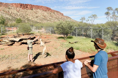 Alice Springs Desert Park General Entry Ticket - Surfers Paradise Gold Coast 4