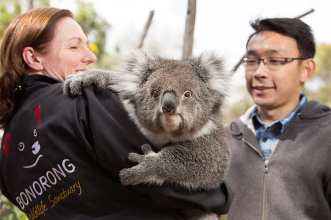 Bonorong Wildlife Park And Richmond Afternoon Tour From Hobart - Surfers Paradise Gold Coast 0