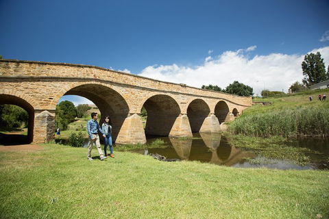 Bonorong Wildlife Park And Richmond Afternoon Tour From Hobart - Surfers Paradise Gold Coast 2