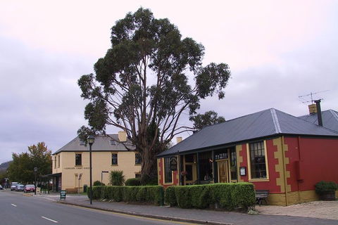 Bonorong Wildlife Park And Richmond Afternoon Tour From Hobart - Surfers Paradise Gold Coast 3