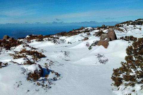 Mount Wellington Ultimate Experience Tour From Hobart - Surfers Paradise Gold Coast 1