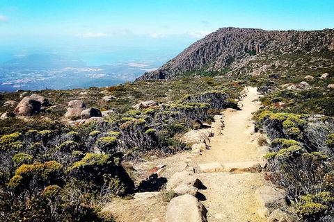 Mount Wellington Ultimate Experience Tour From Hobart - Surfers Paradise Gold Coast 5