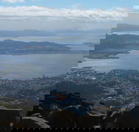 Mt Wellington Tour and MONA Admission - Surfers Paradise Gold Coast