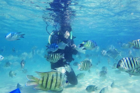 Adventure Moreton Island Scuba Dive Tour - Surfers Paradise Gold Coast 1