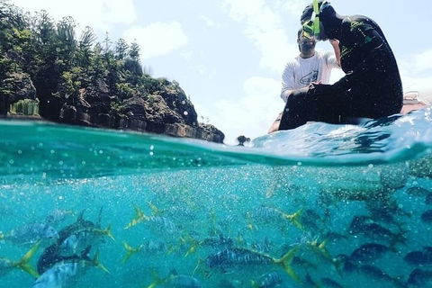 2 Night Small Group Whitsundays Sailing Adventure Aboard Mandrake - Surfers Paradise Gold Coast 5