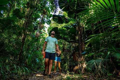 Full Day Daintree Rainforest And Mossman Gorge Tour - Surfers Paradise Gold Coast 0