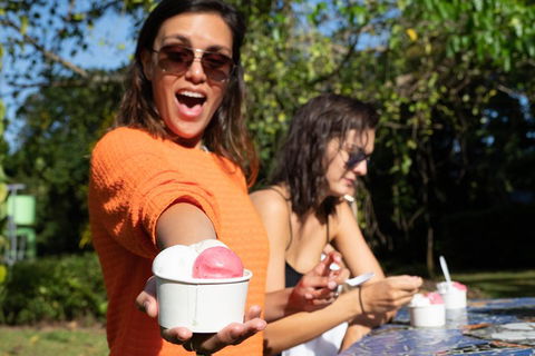 Full Day Daintree Rainforest And Mossman Gorge Tour - Surfers Paradise Gold Coast 3