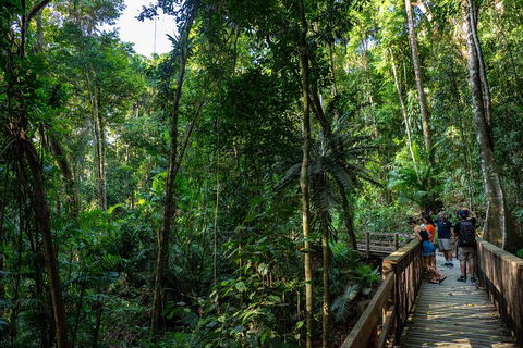 Full Day Daintree Rainforest And Mossman Gorge Tour - Surfers Paradise Gold Coast 5