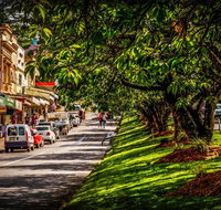 Fully Inclusive Blue Mountains Private Tour inc Scenic World  Featherdale entry