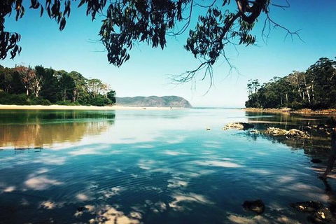 Full-Day Guided Bruny Island Tour From Hobart - Surfers Paradise Gold Coast 1