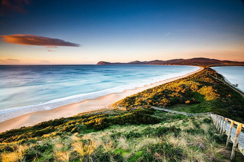 Full-Day Guided Bruny Island Tour From Hobart - Surfers Paradise Gold Coast 2