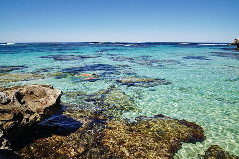 Seaplane Flights Perth To Rottnest Island And Return - Surfers Paradise Gold Coast 0
