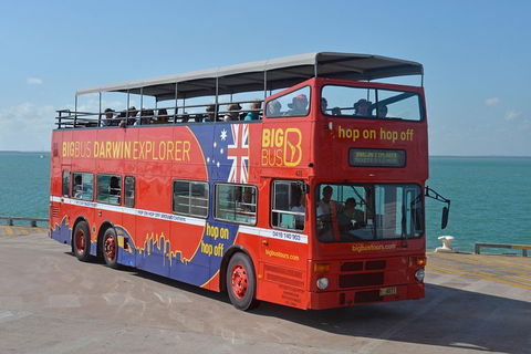 Darwin Hop-on Hop-off Bus Tour - Surfers Paradise Gold Coast 3
