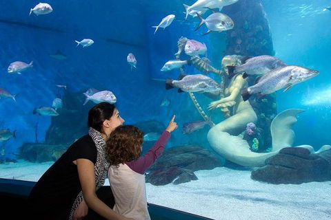 SEA LIFE Melbourne Aquarium Admission Ticket - Surfers Paradise Gold Coast 4