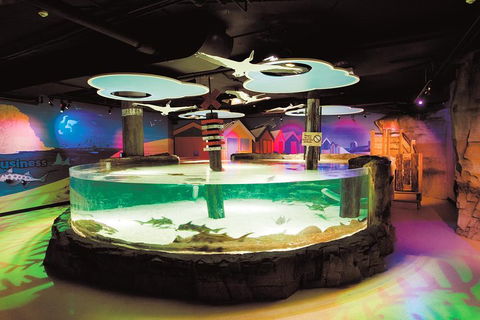 SEA LIFE Melbourne Aquarium Admission Ticket - Surfers Paradise Gold Coast 5
