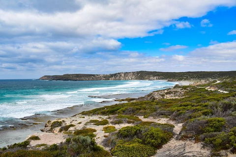 Kangaroo Island Luxury Small Group 'East End Explorer' Full Day Tour - Surfers Paradise Gold Coast 0
