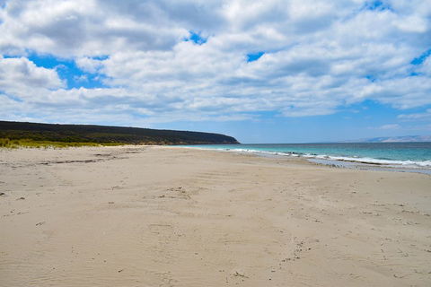Kangaroo Island Luxury Small Group 'East End Explorer' Full Day Tour - Surfers Paradise Gold Coast 3