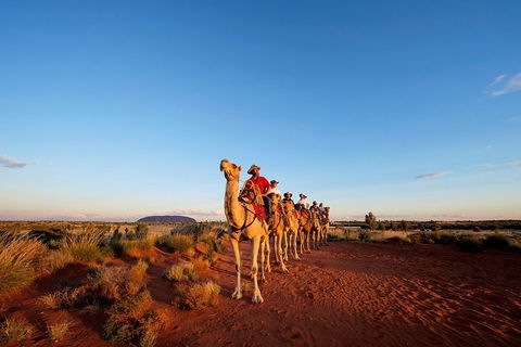 Uluru Small-Group Tour By Camel At Sunrise Or Sunset - Surfers Paradise Gold Coast 3