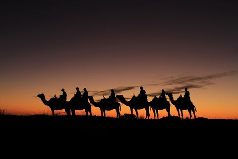 Uluru Small-Group Tour By Camel At Sunrise Or Sunset - Surfers Paradise Gold Coast 4