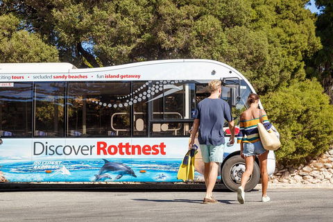 Discover Rottnest With Ferry & Bus Tour From Perth Or Fremantle - Surfers Paradise Gold Coast 1