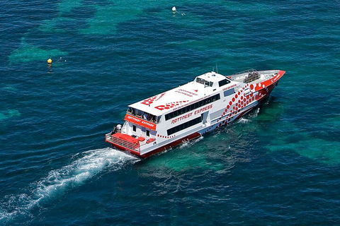 Discover Rottnest With Ferry & Bus Tour From Perth Or Fremantle - Surfers Paradise Gold Coast 3