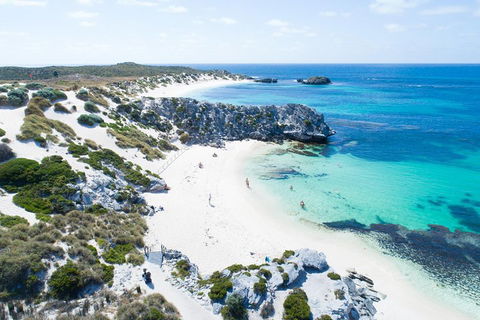 Discover Rottnest With Ferry & Bus Tour From Perth Or Fremantle - Surfers Paradise Gold Coast 5