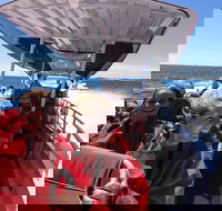 Adventure Rottnest Tour with Ferry  Adventure Cruise from Perth or Fremantle - Surfers Paradise Gold Coast