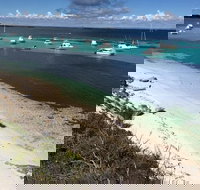 Experience Rottnest with Ferry  Bike Hire from Perth or Fremantle - Surfers Paradise Gold Coast